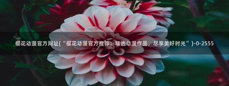 刀剑神域第一季在线观看樱花动漫