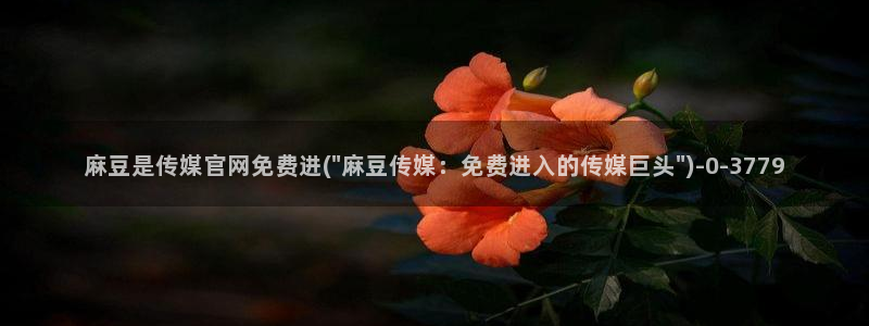 麻豆演员标题