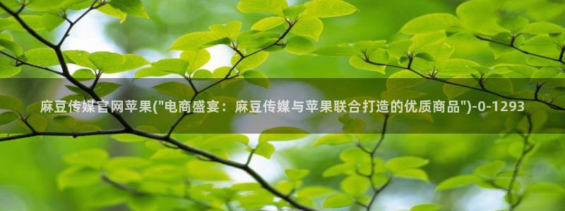 麻豆视频导航