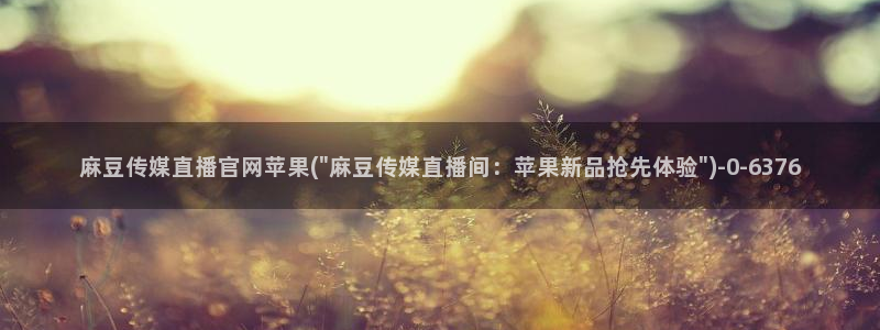麻豆剧情描述