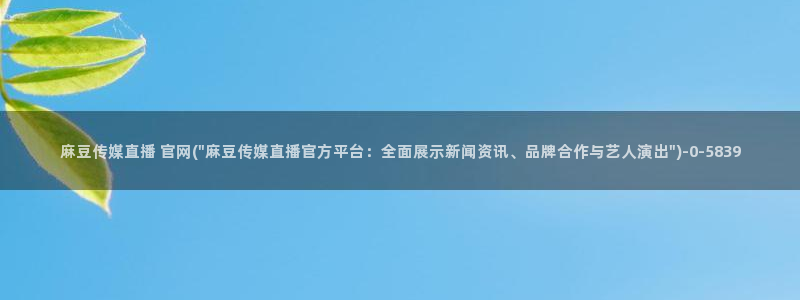 麻豆视频资讯文案