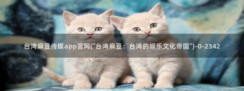麻豆剧情描述