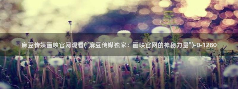 麻豆视频关于我们