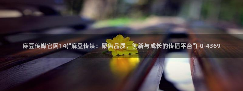 麻豆剧情解析