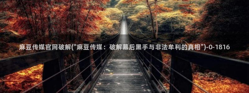 麻豆视频热门内容