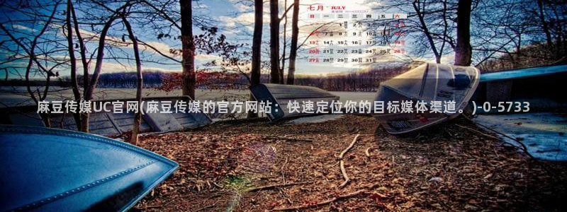 麻豆视频在线观看