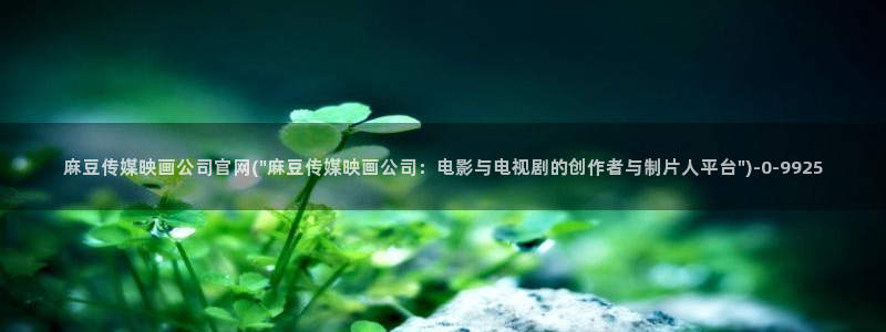 麻豆片单推荐