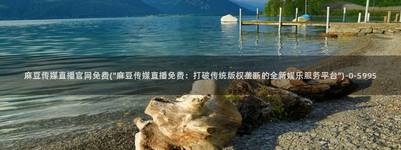 麻豆在线视频