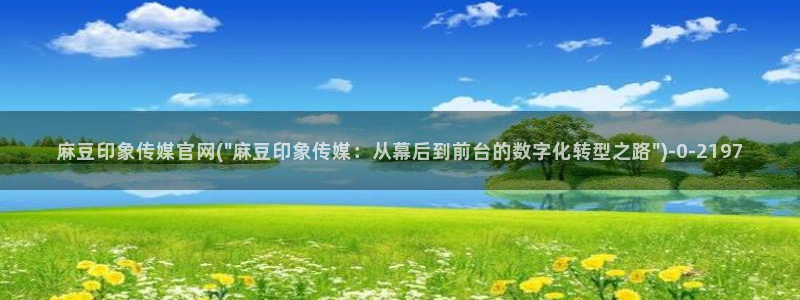 麻豆精选片单