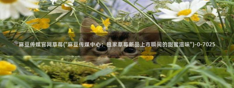 麻豆内容服务