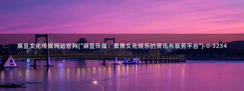 麻豆视频关于我们