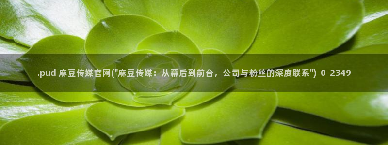 麻豆拍摄花絮