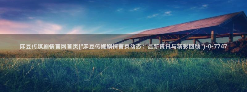 麻豆描述优化