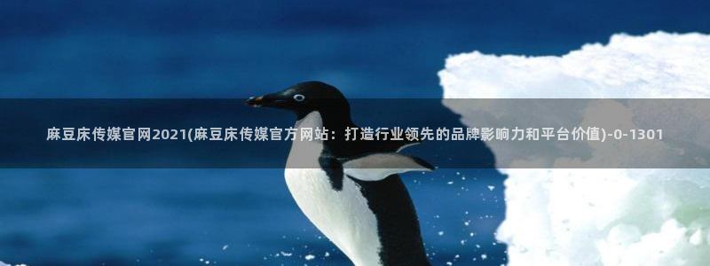 麻豆视频演员文案