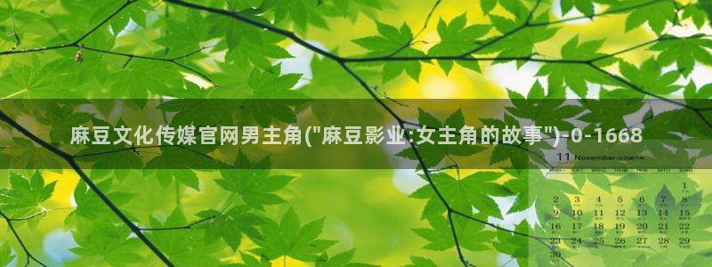 麻豆视频百度优化