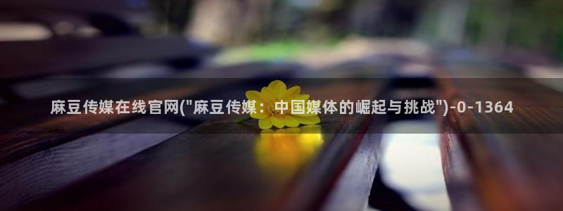 麻豆新片