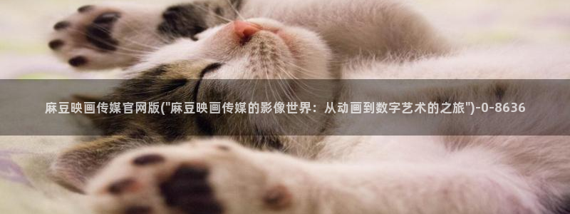 麻豆SEO关键词