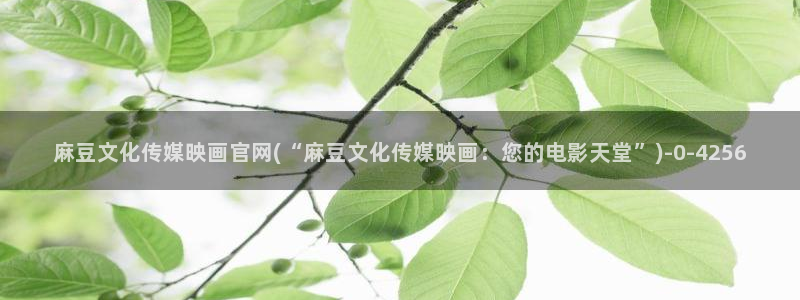 麻豆视频首页文案