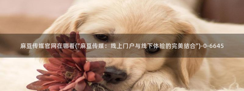 麻豆视频自然描述