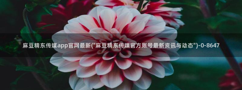 麻豆视频百度优化