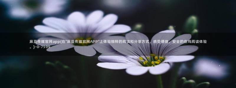 麻豆传媒在线观看：麻豆传媒官网app(在\