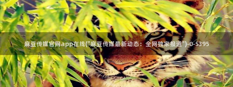 麻豆视频模板标签：麻豆传媒官网app在线(\