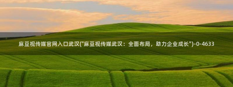 麻豆视频网站：麻豆视传媒官网入口武汉(\