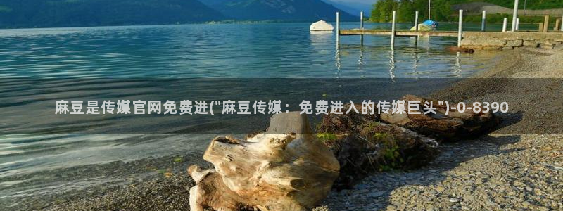 麻豆描述优化