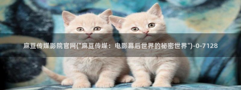 麻豆视频标签规划