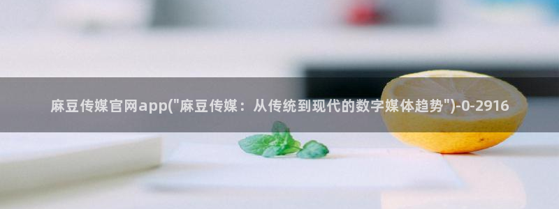 麻豆视频专题规划