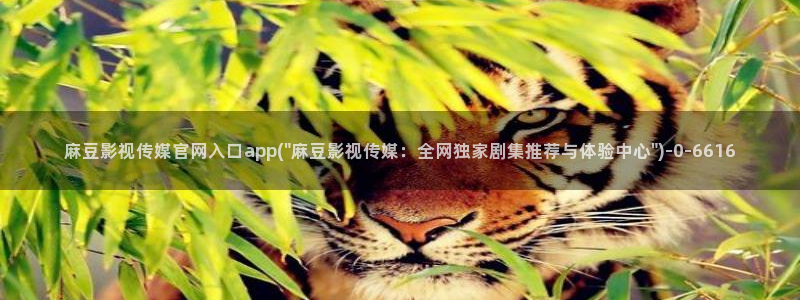 麻豆视频在线看