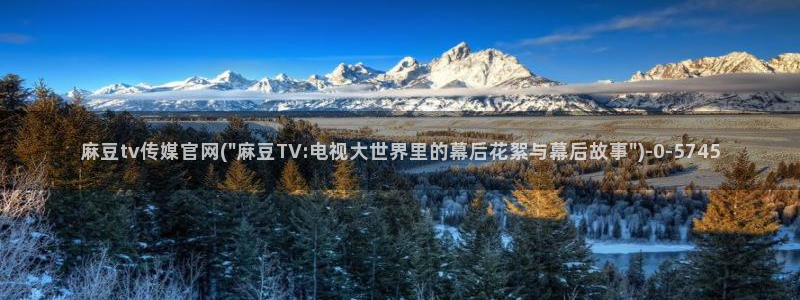 麻豆视频在线