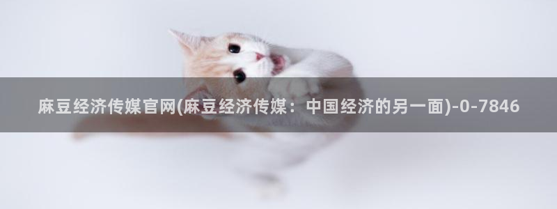 麻豆视频相关推荐词