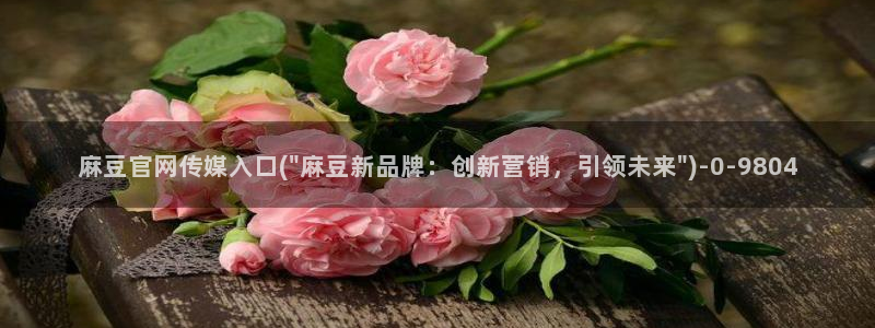 麻豆视频评分